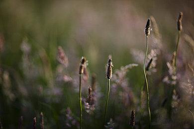 《上古卷轴6》仍处于设计阶段 工作室重点在开发《星空》